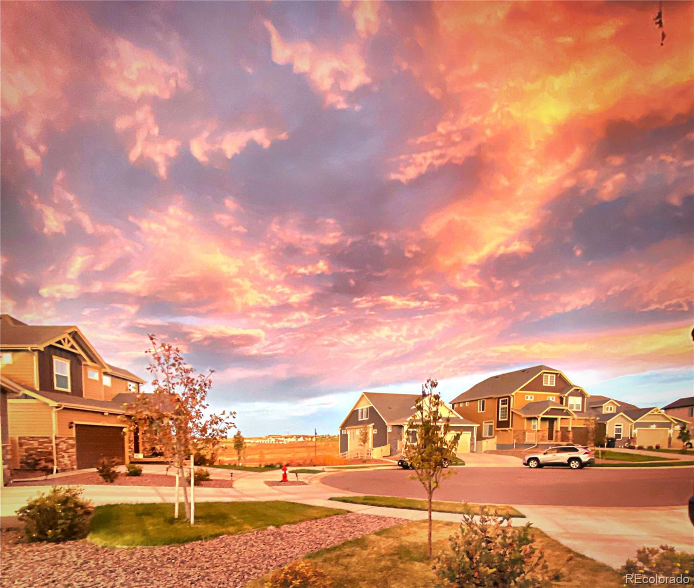 MLS Image #39 for 40  magnolia court,erie, Colorado