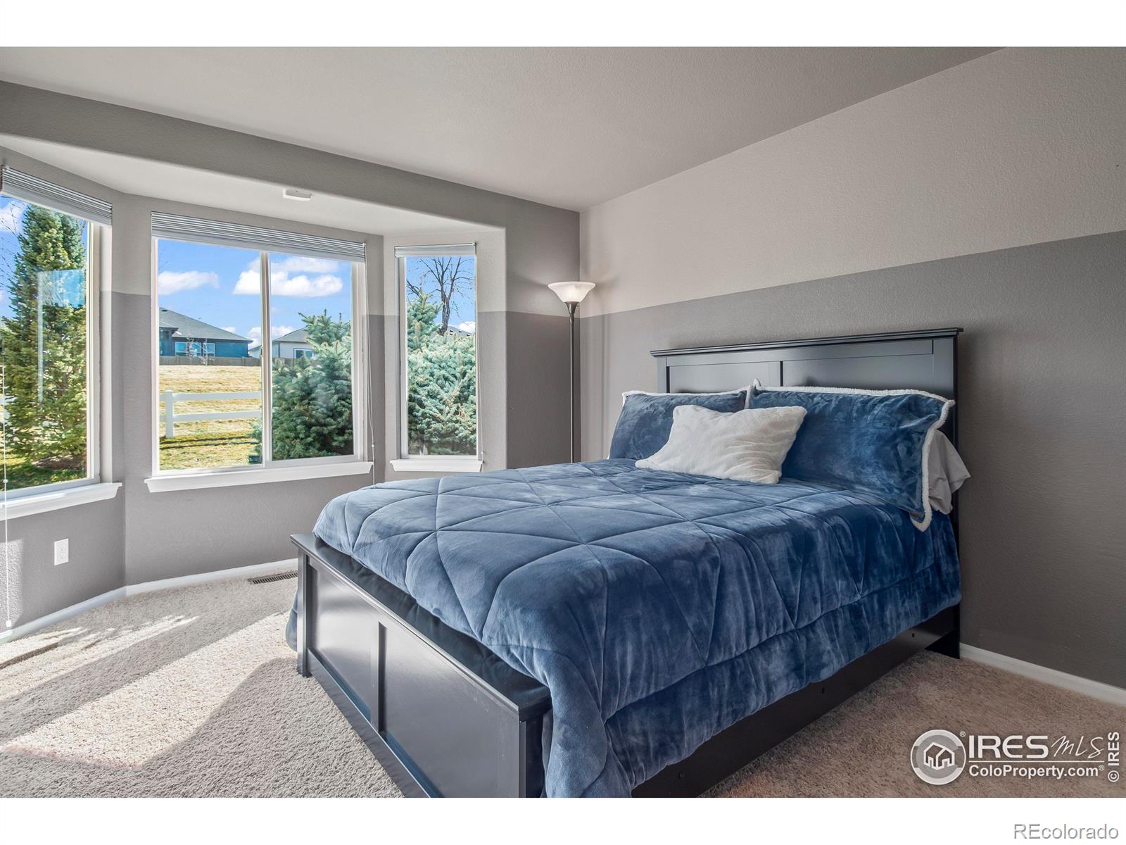 MLS Image #12 for 4432  pika drive,loveland, Colorado