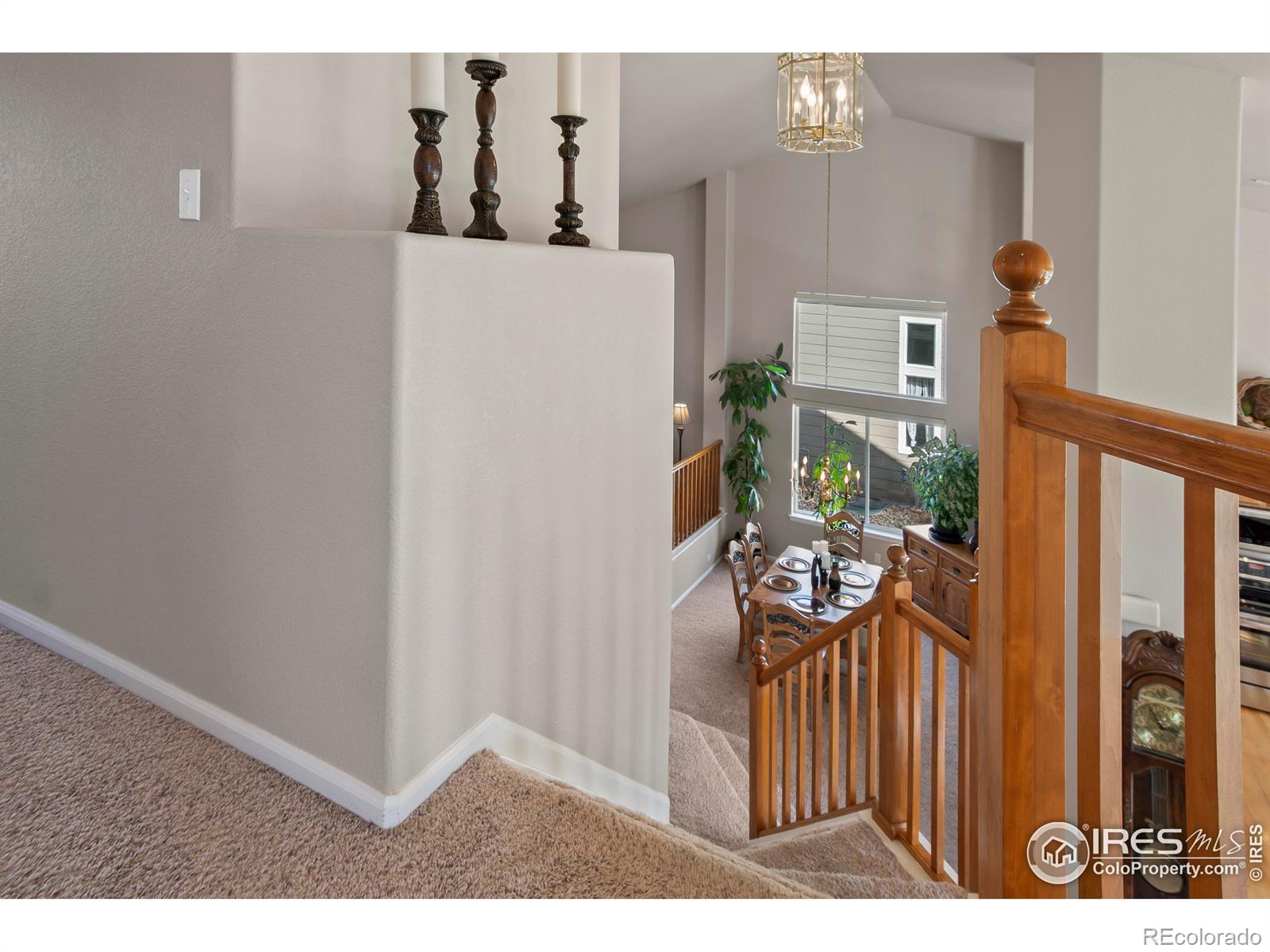 MLS Image #15 for 4432  pika drive,loveland, Colorado