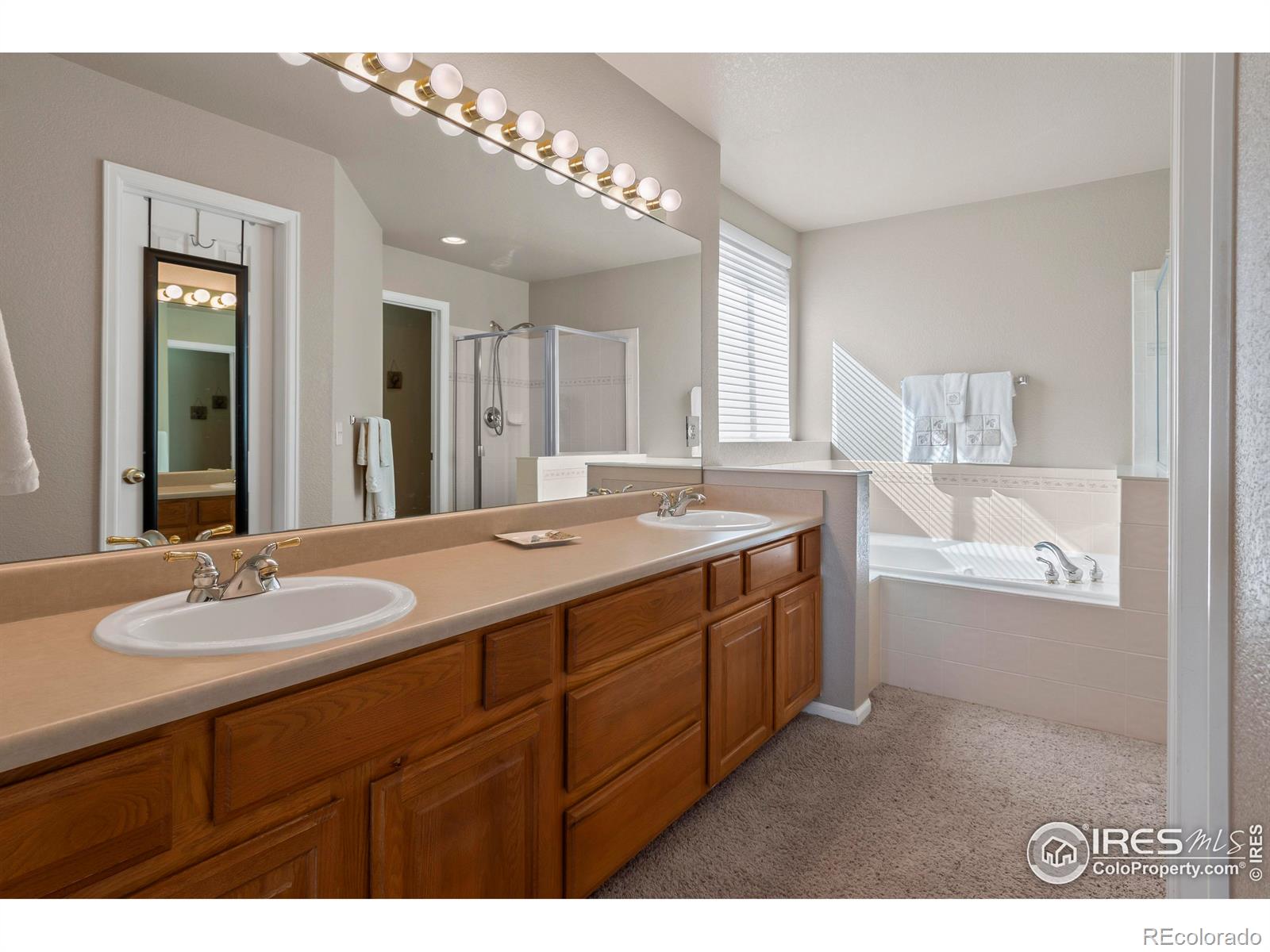 MLS Image #18 for 4432  pika drive,loveland, Colorado