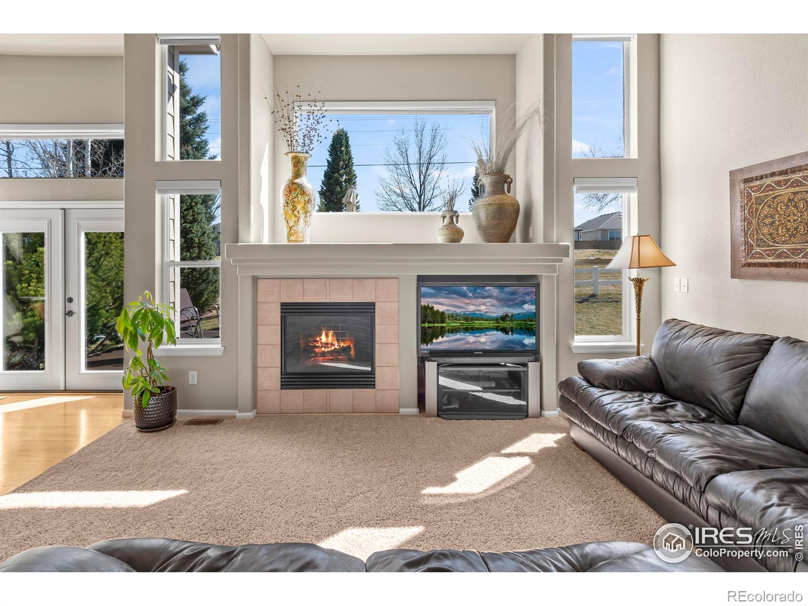 MLS Image #6 for 4432  pika drive,loveland, Colorado