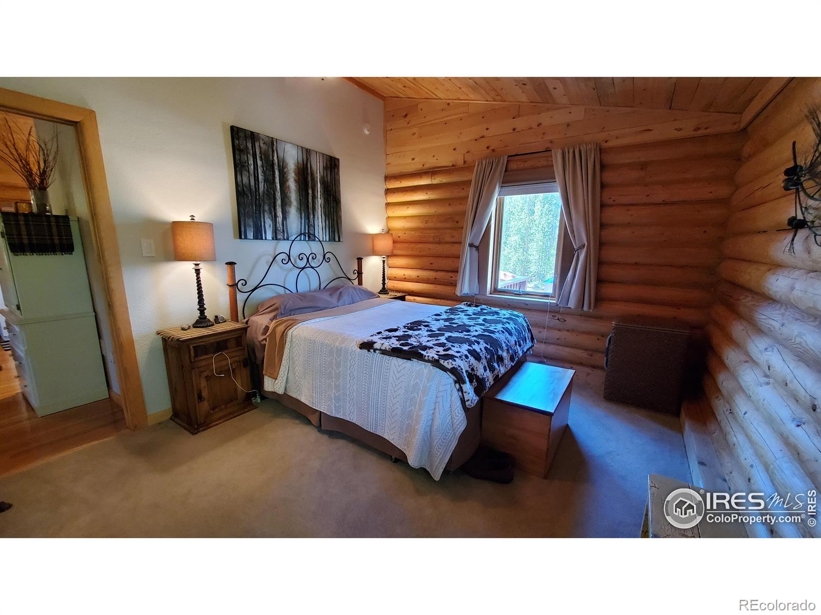 MLS Image #23 for 128  hilltop drive,walden, Colorado