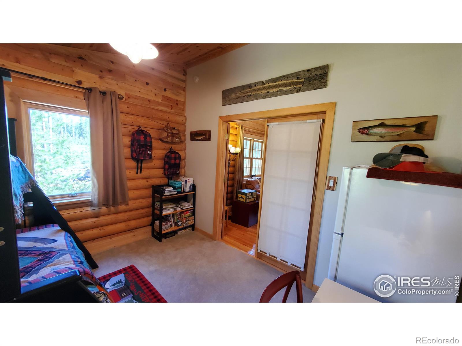 MLS Image #30 for 128  hilltop drive,walden, Colorado