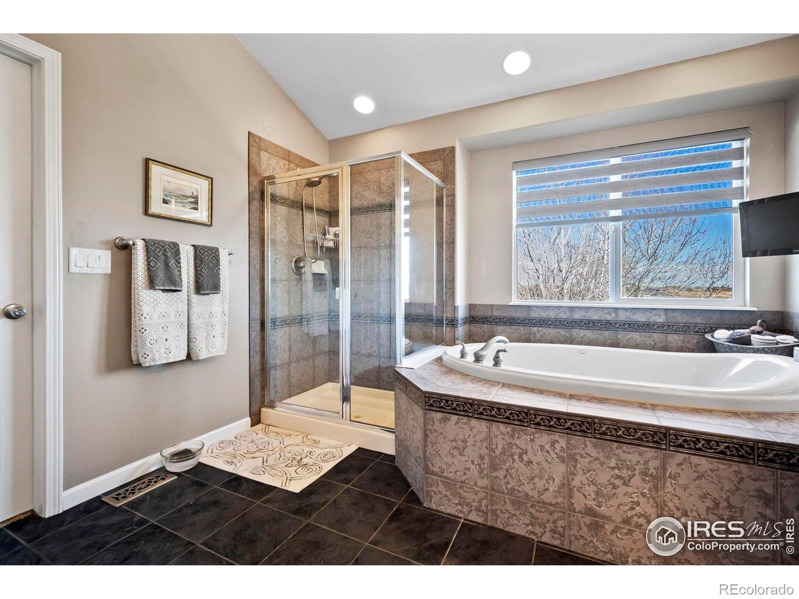 MLS Image #20 for 2960  laguna court,loveland, Colorado