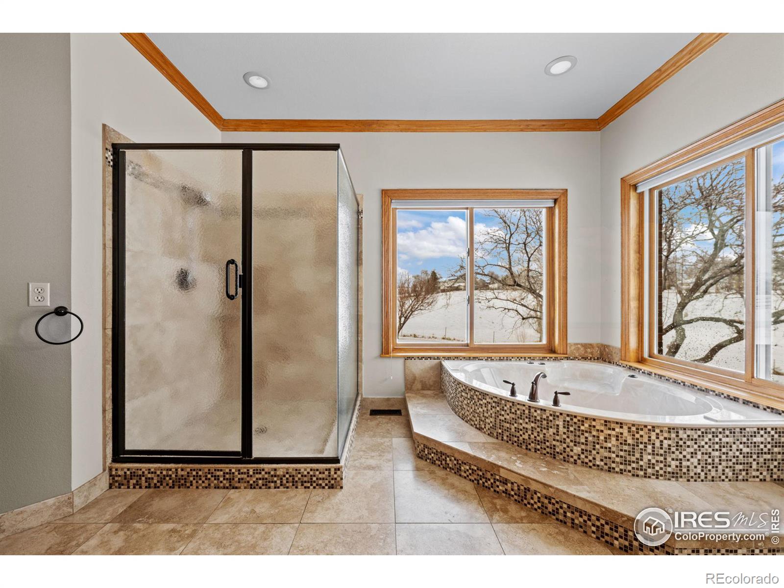 MLS Image #21 for 9967  phillips road,lafayette, Colorado