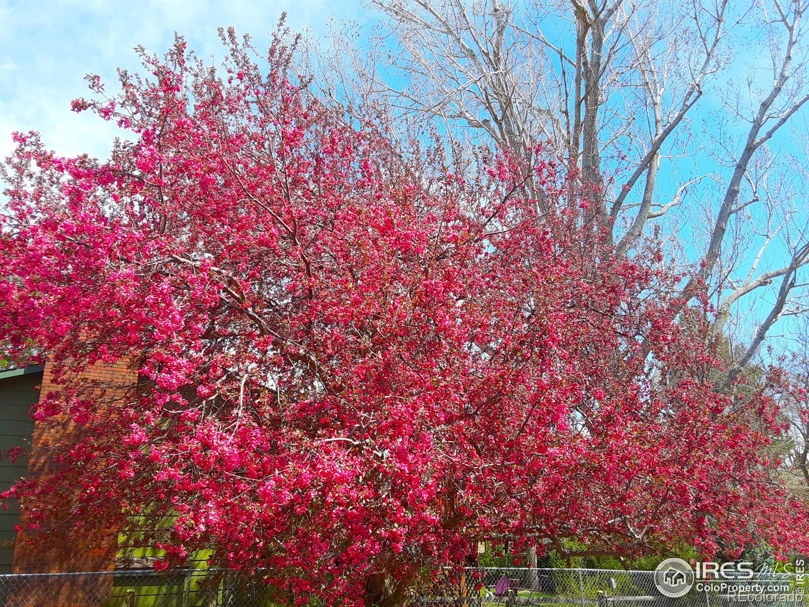 MLS Image #35 for 1725  essex drive,fort collins, Colorado