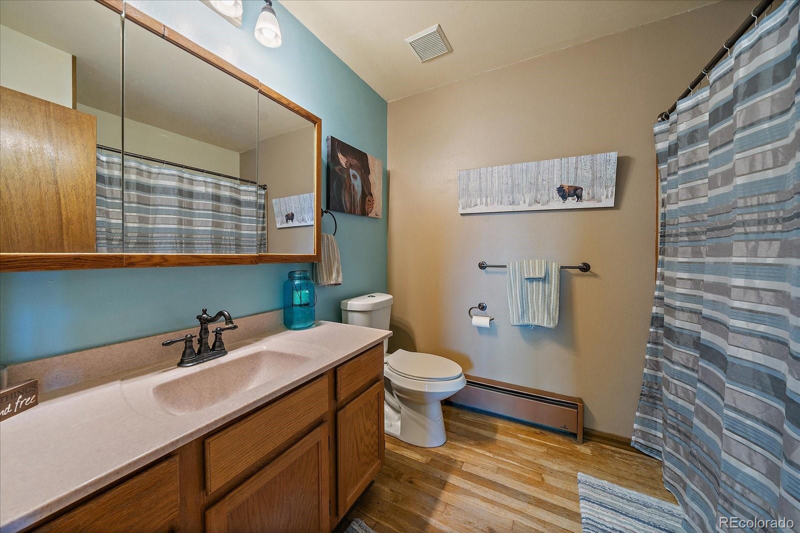 MLS Image #18 for 485  jacob drive,bailey, Colorado