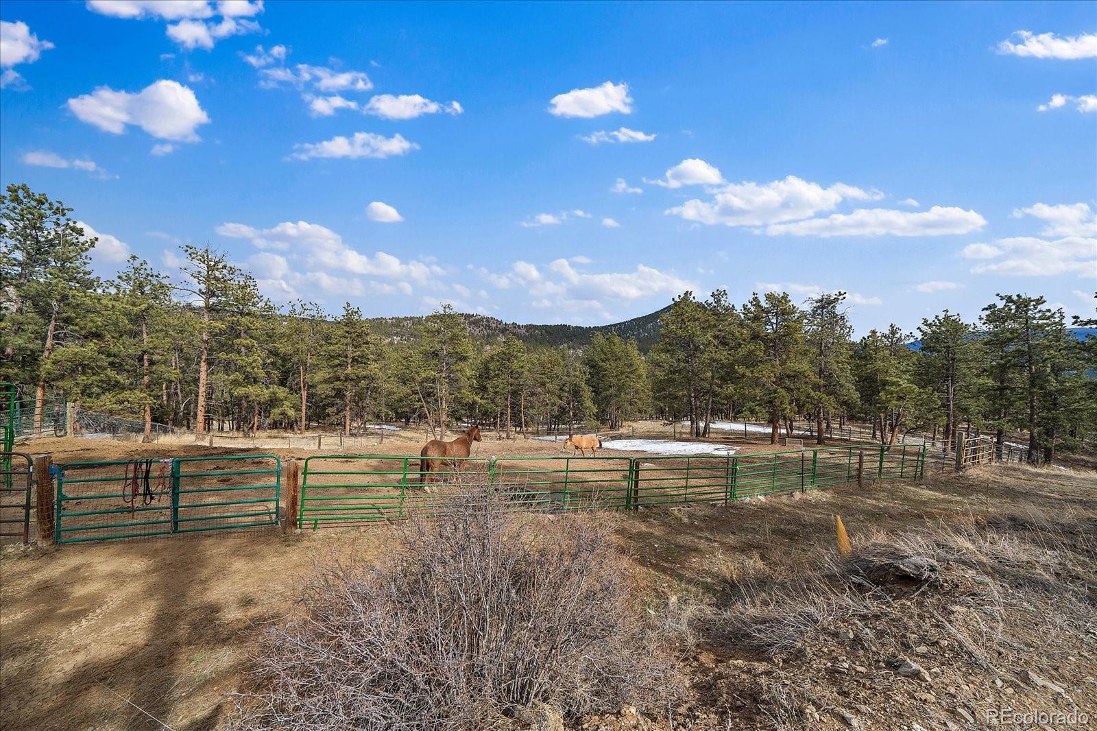 MLS Image #34 for 485  jacob drive,bailey, Colorado