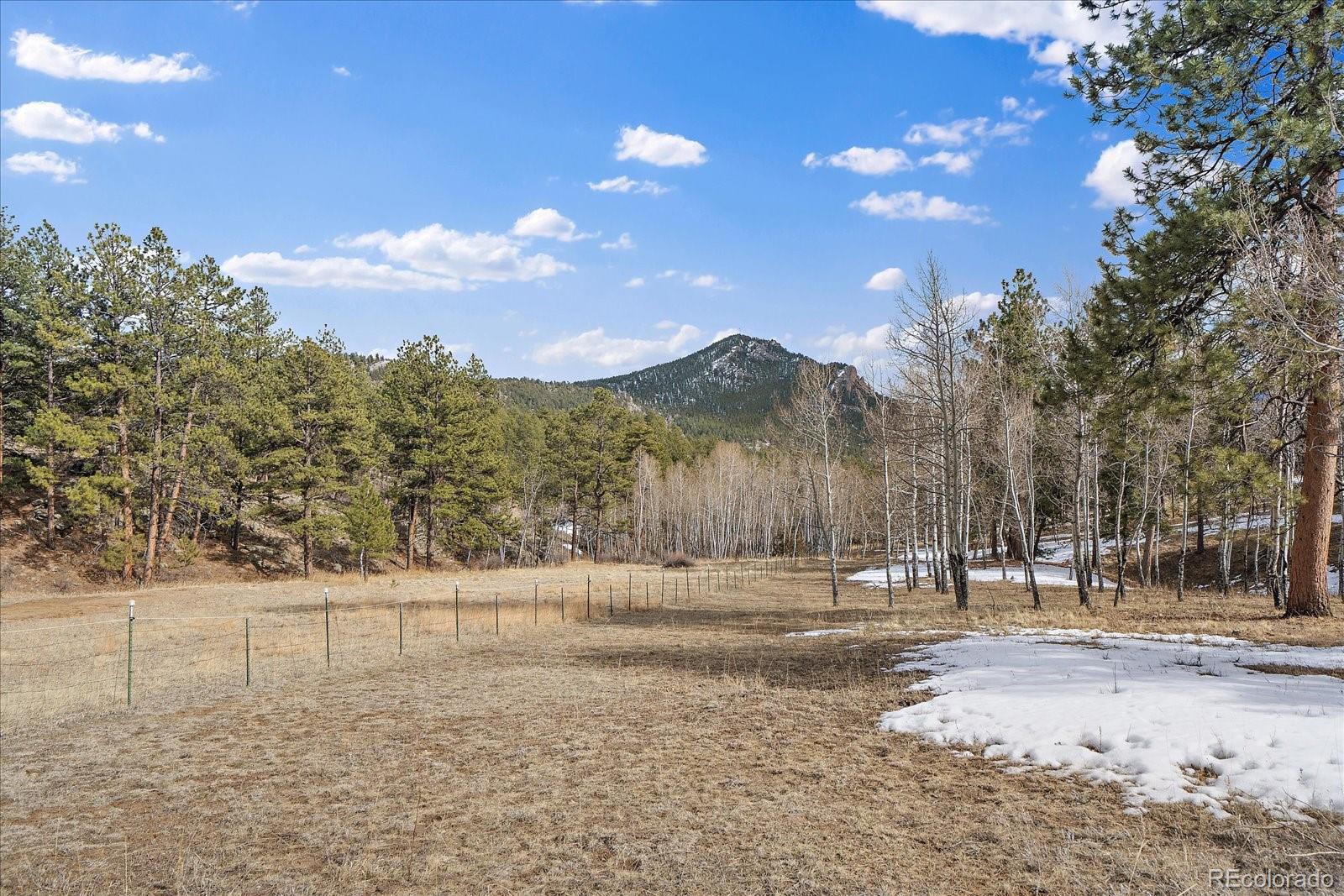 MLS Image #37 for 485  jacob drive,bailey, Colorado