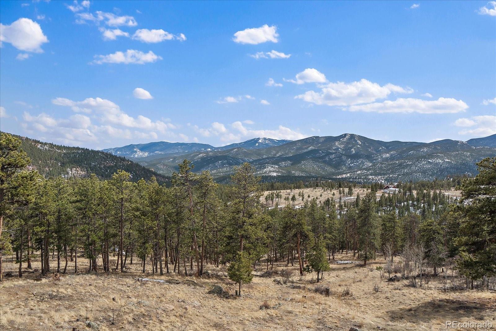 MLS Image #38 for 485  jacob drive,bailey, Colorado