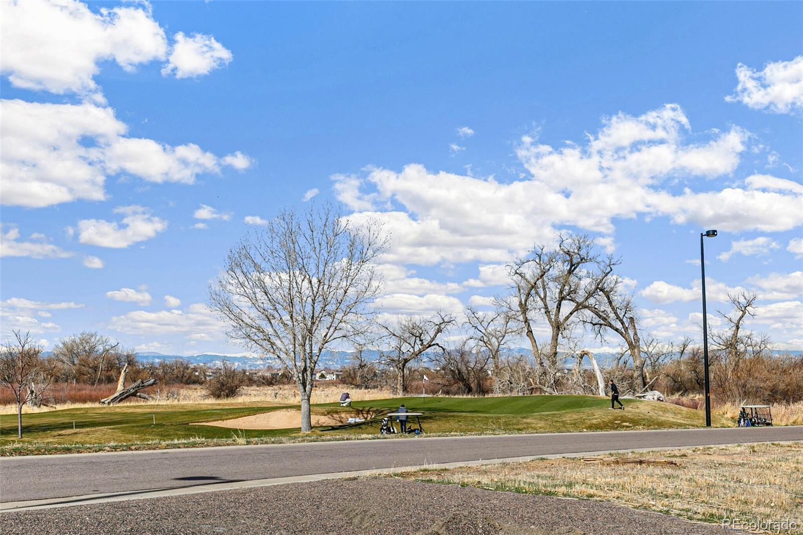 MLS Image #27 for 20403 e 50th place,denver, Colorado