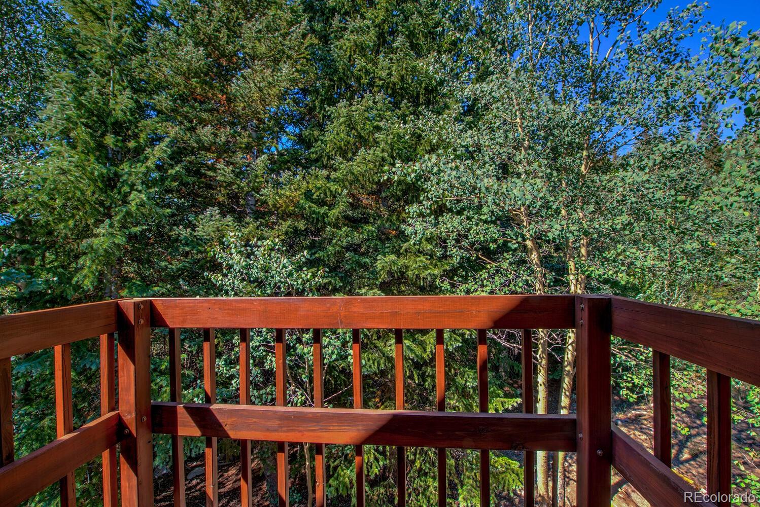 MLS Image #27 for 2857  co rd 6 ,alma, Colorado