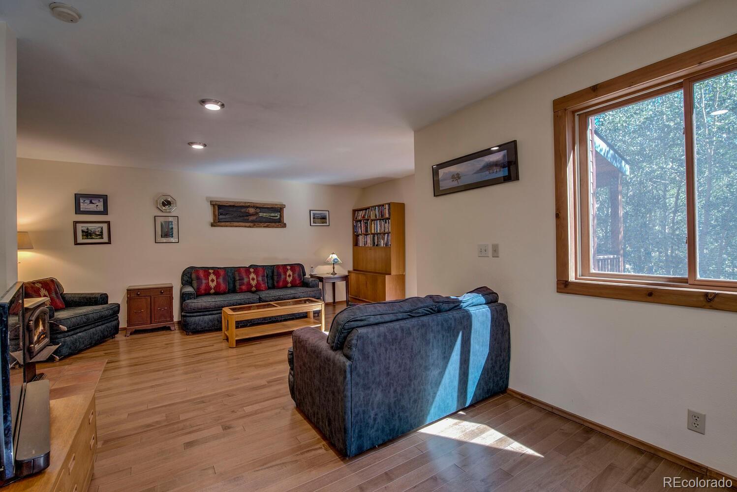 MLS Image #3 for 2857  co rd 6 ,alma, Colorado