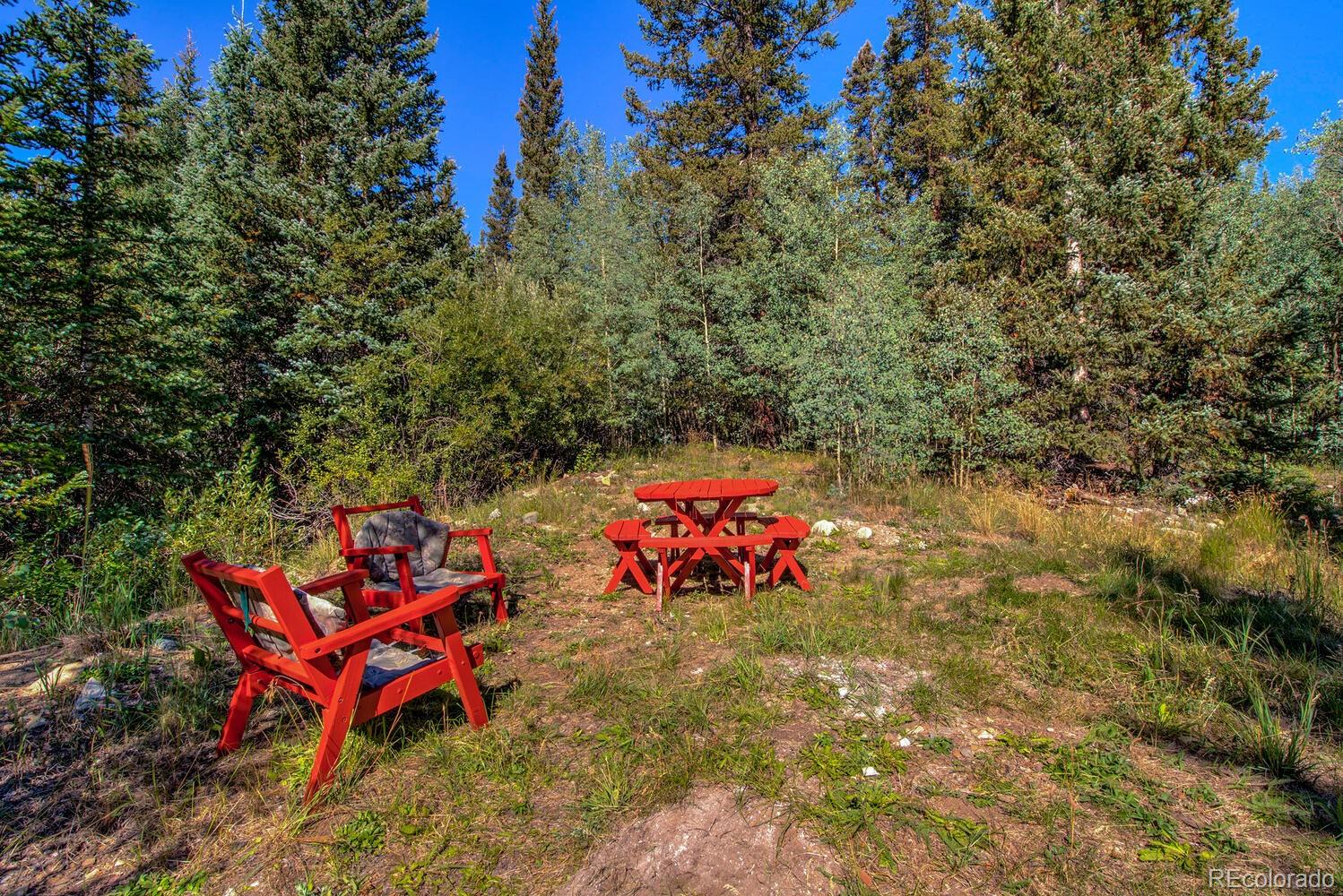 MLS Image #31 for 2857  co rd 6 ,alma, Colorado