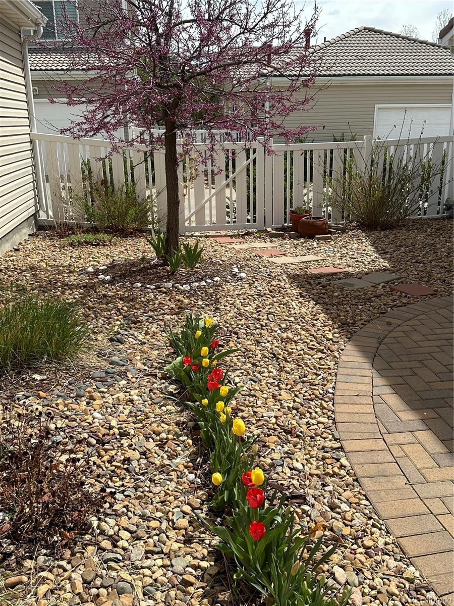 MLS Image #20 for 20535 e 47th avenue,denver, Colorado