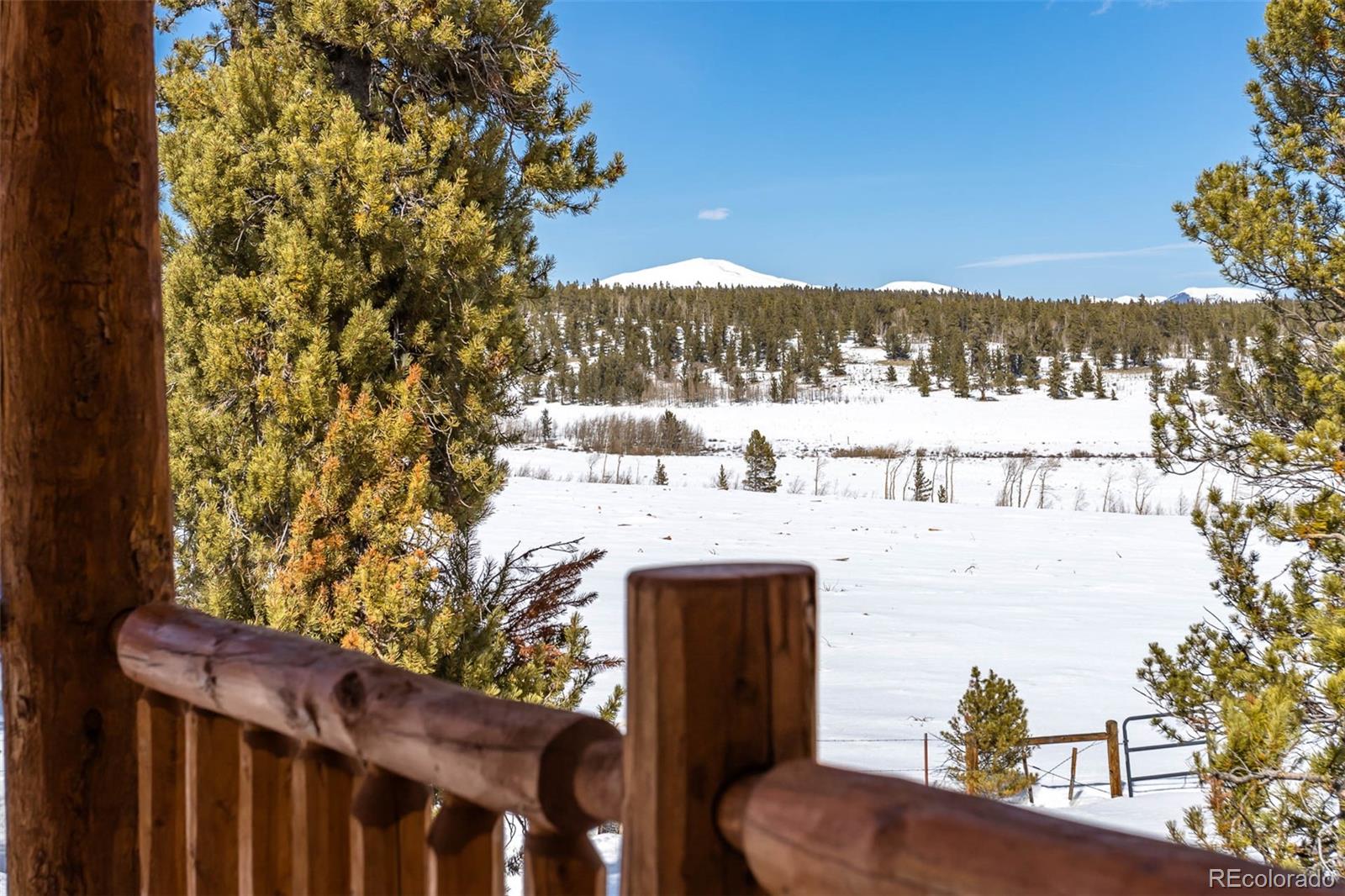 MLS Image #21 for 309  lamb mountain road,fairplay, Colorado