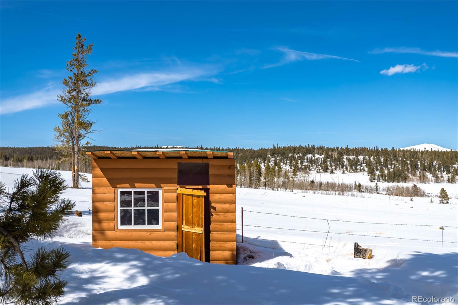 MLS Image #28 for 309  lamb mountain road,fairplay, Colorado