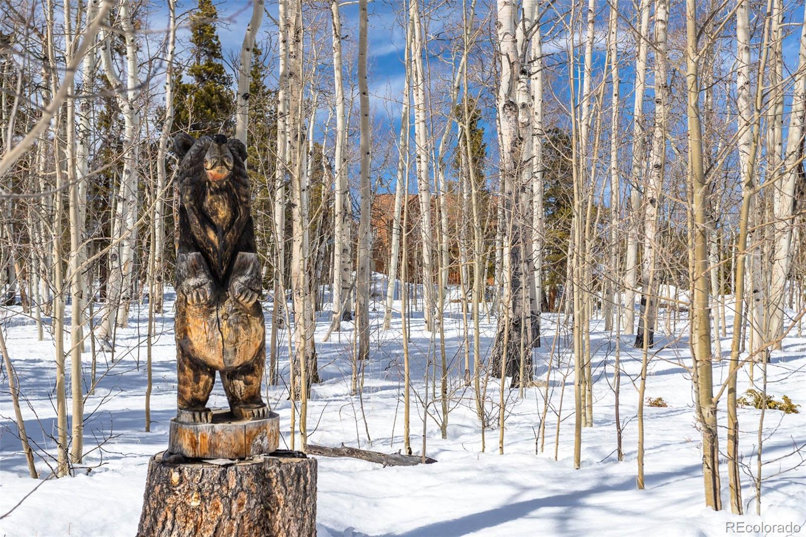 MLS Image #29 for 309  lamb mountain road,fairplay, Colorado