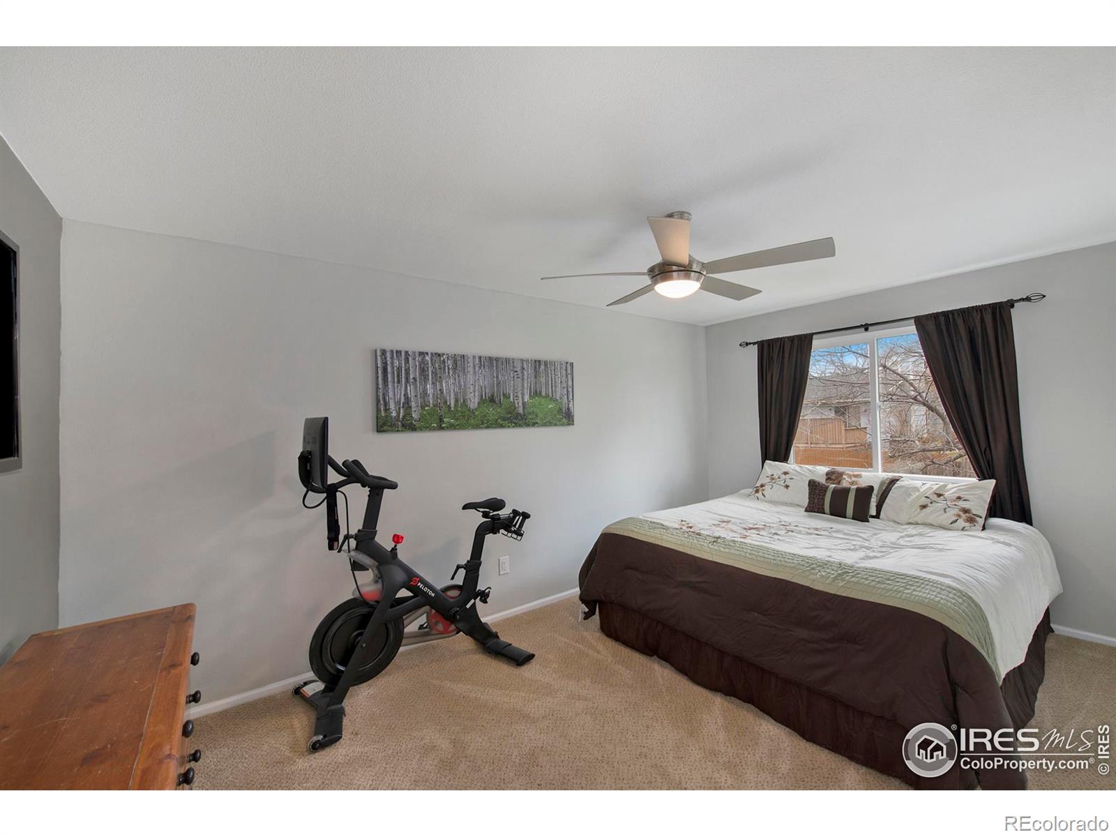 MLS Image #11 for 2501  antelope road,fort collins, Colorado