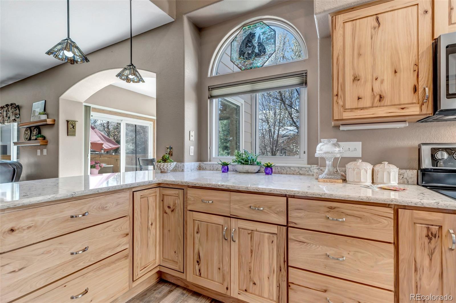 MLS Image #9 for 9005  edgewood lane,highlands ranch, Colorado