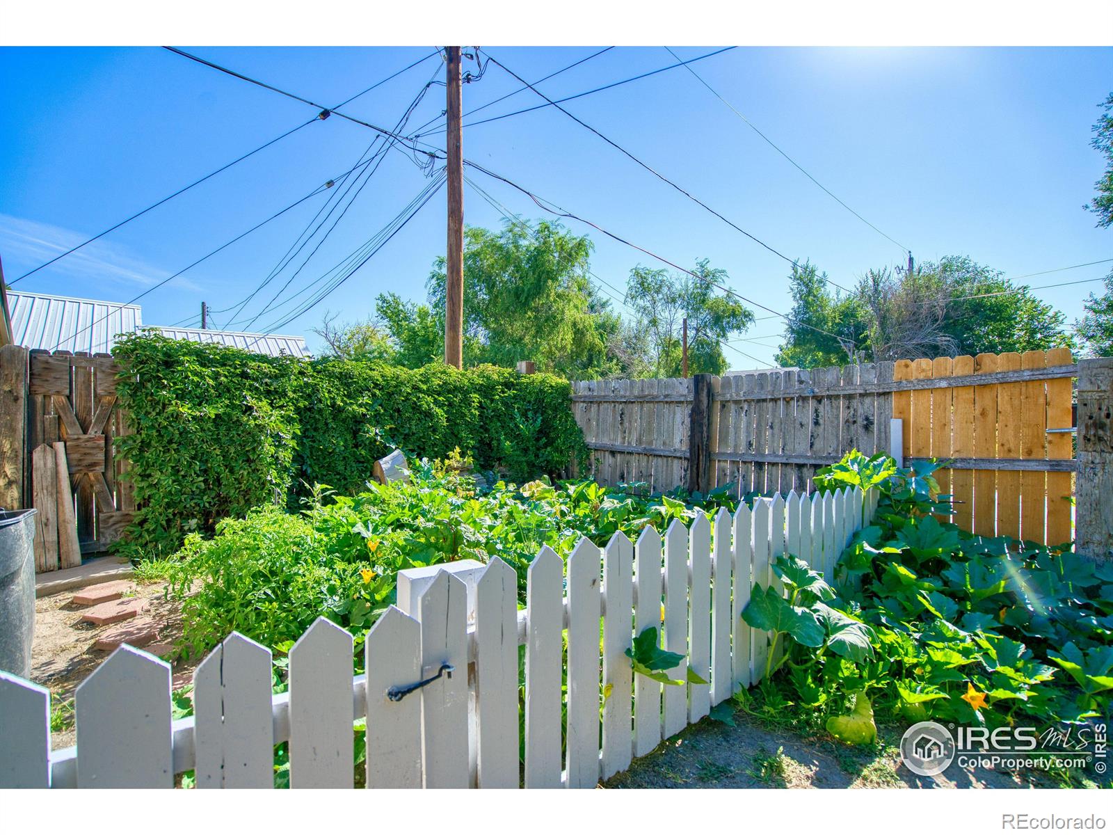 MLS Image #24 for 432  elm street,sterling, Colorado