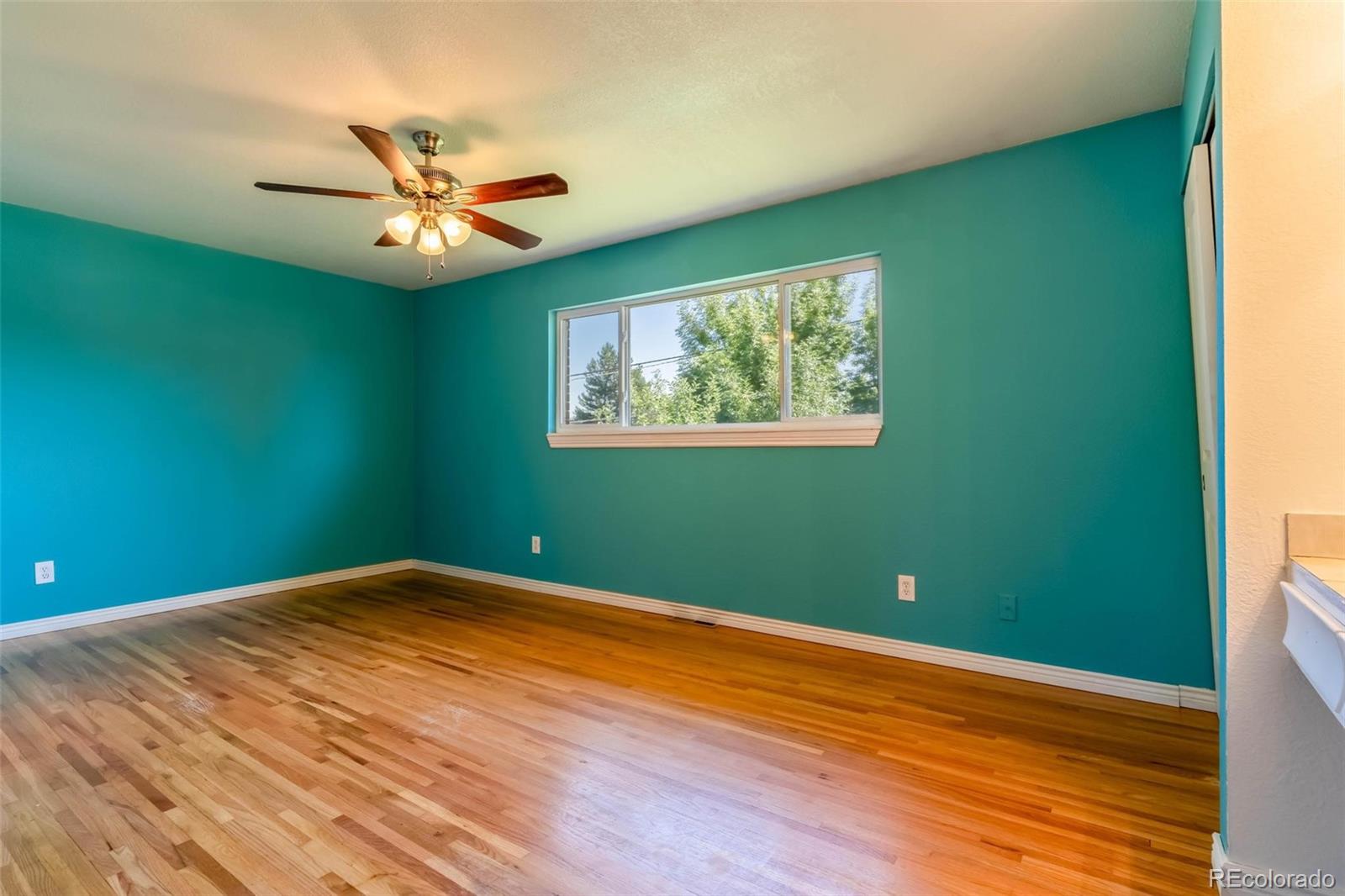 MLS Image #17 for 8178  pearl street,denver, Colorado