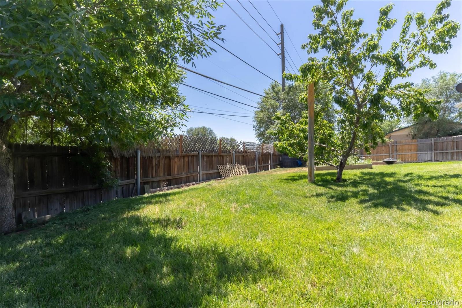 MLS Image #28 for 8178  pearl street,denver, Colorado