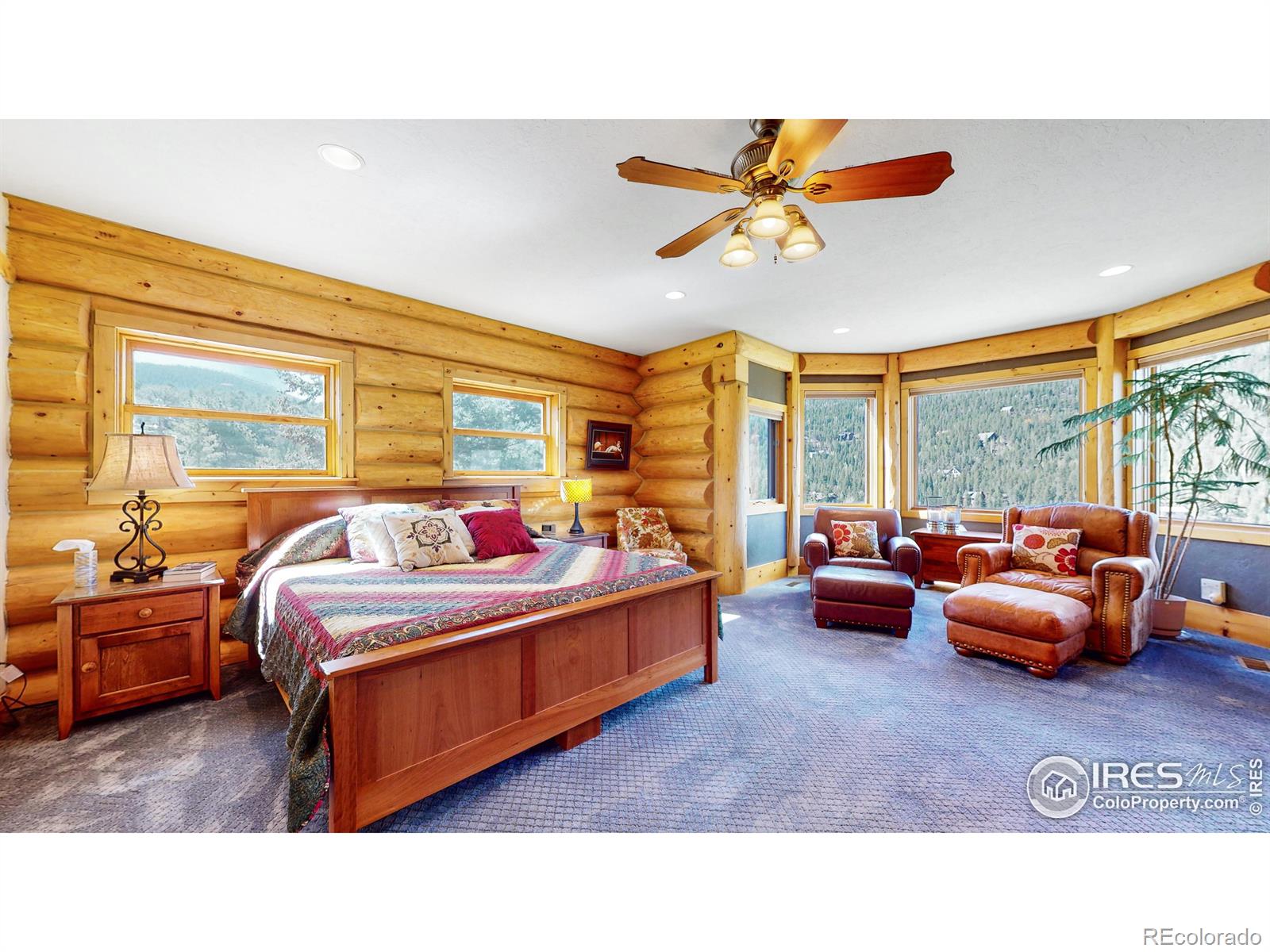 MLS Image #15 for 3855  star way,estes park, Colorado