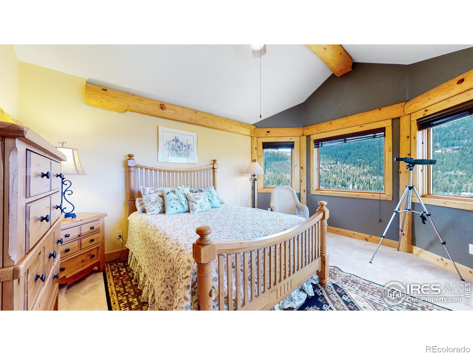 MLS Image #23 for 3855  star way,estes park, Colorado