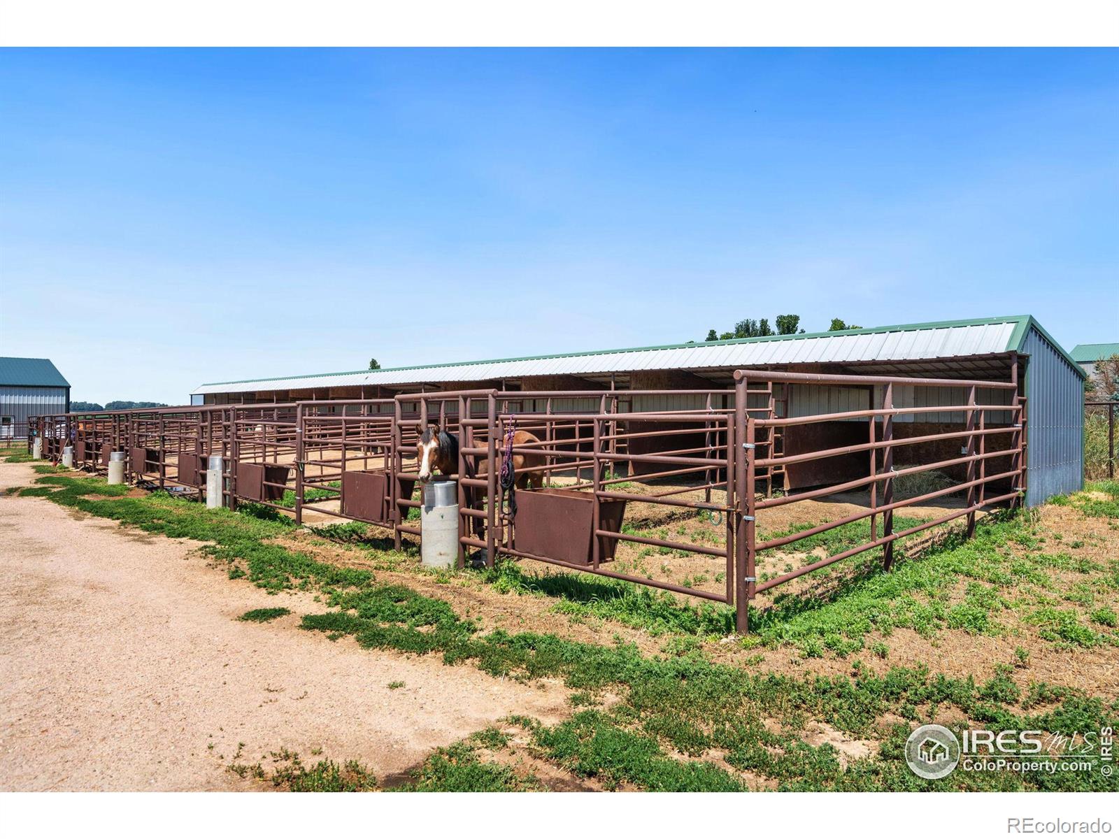 MLS Image #16 for 35207  county road 31 ,greeley, Colorado