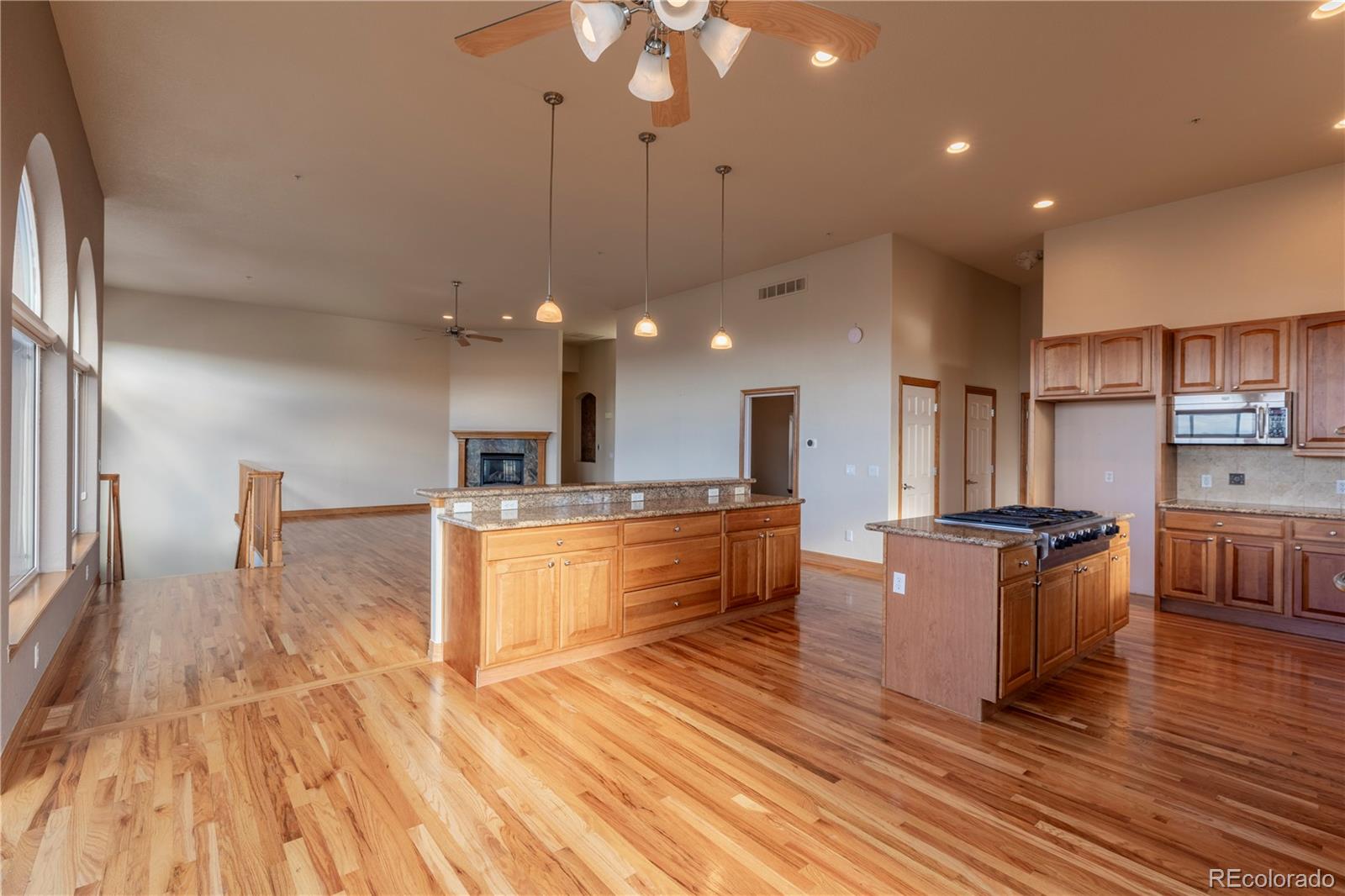 MLS Image #28 for 255  starburst circle,castle rock, Colorado