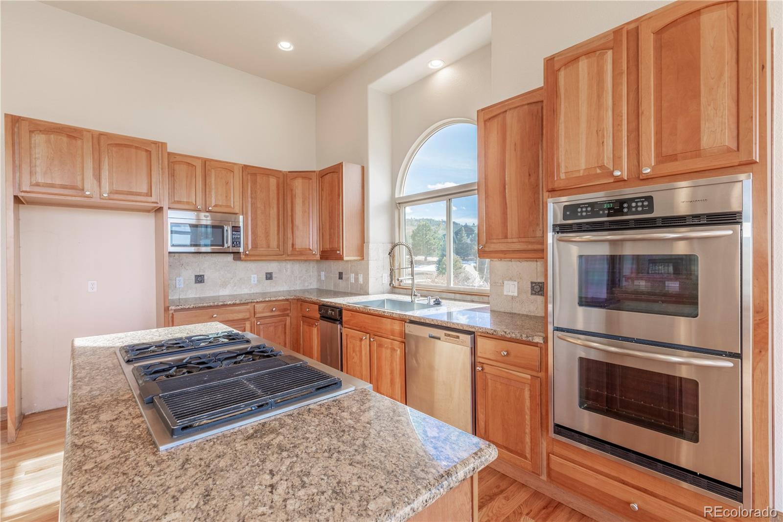 MLS Image #30 for 255  starburst circle,castle rock, Colorado