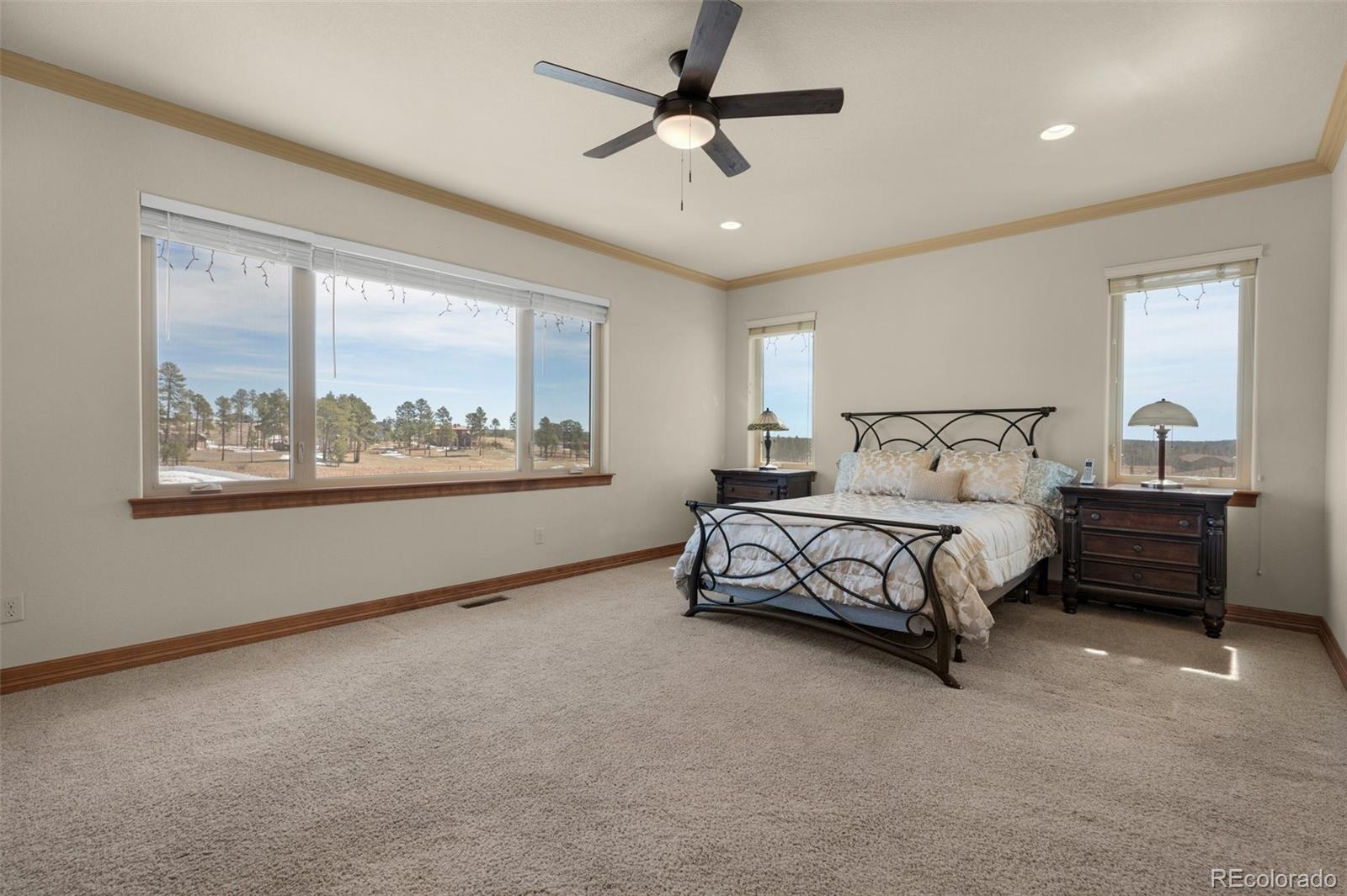 MLS Image #16 for 13725  wildoak drive,colorado springs, Colorado