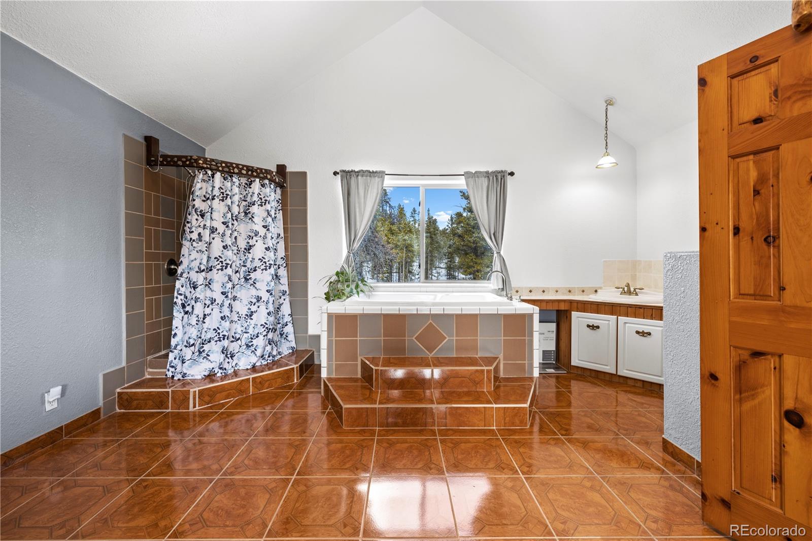 MLS Image #14 for 246  aspen drive,twin lakes, Colorado