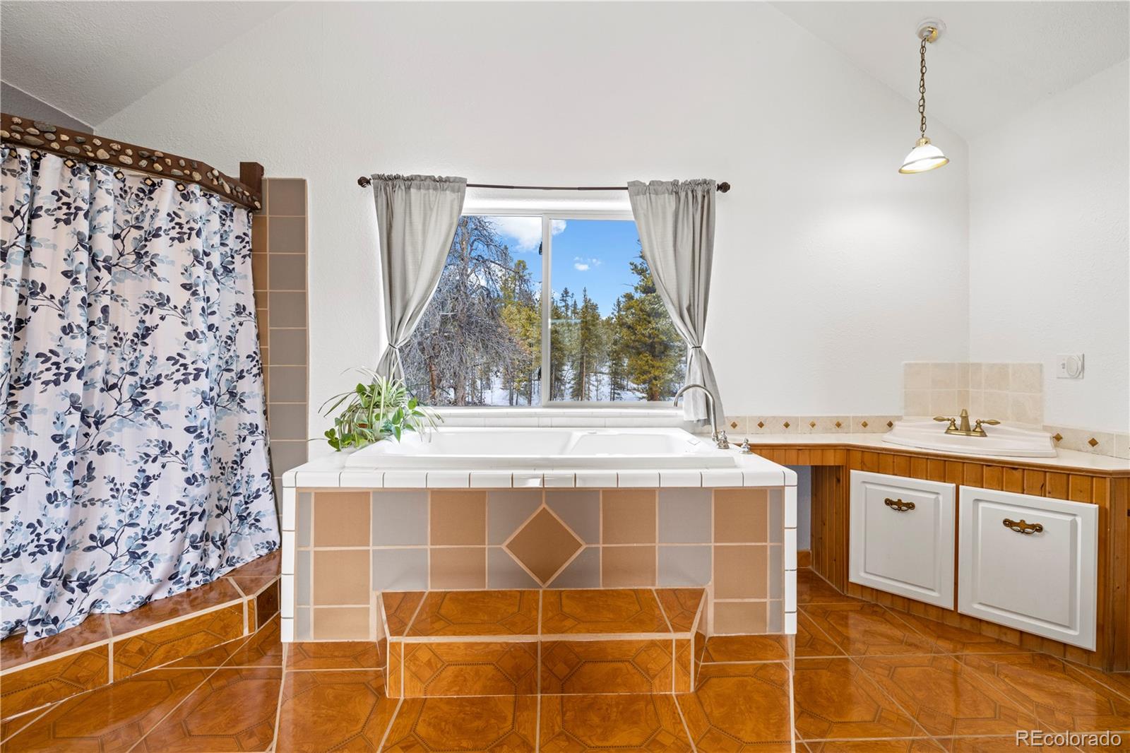 MLS Image #15 for 246  aspen drive,twin lakes, Colorado