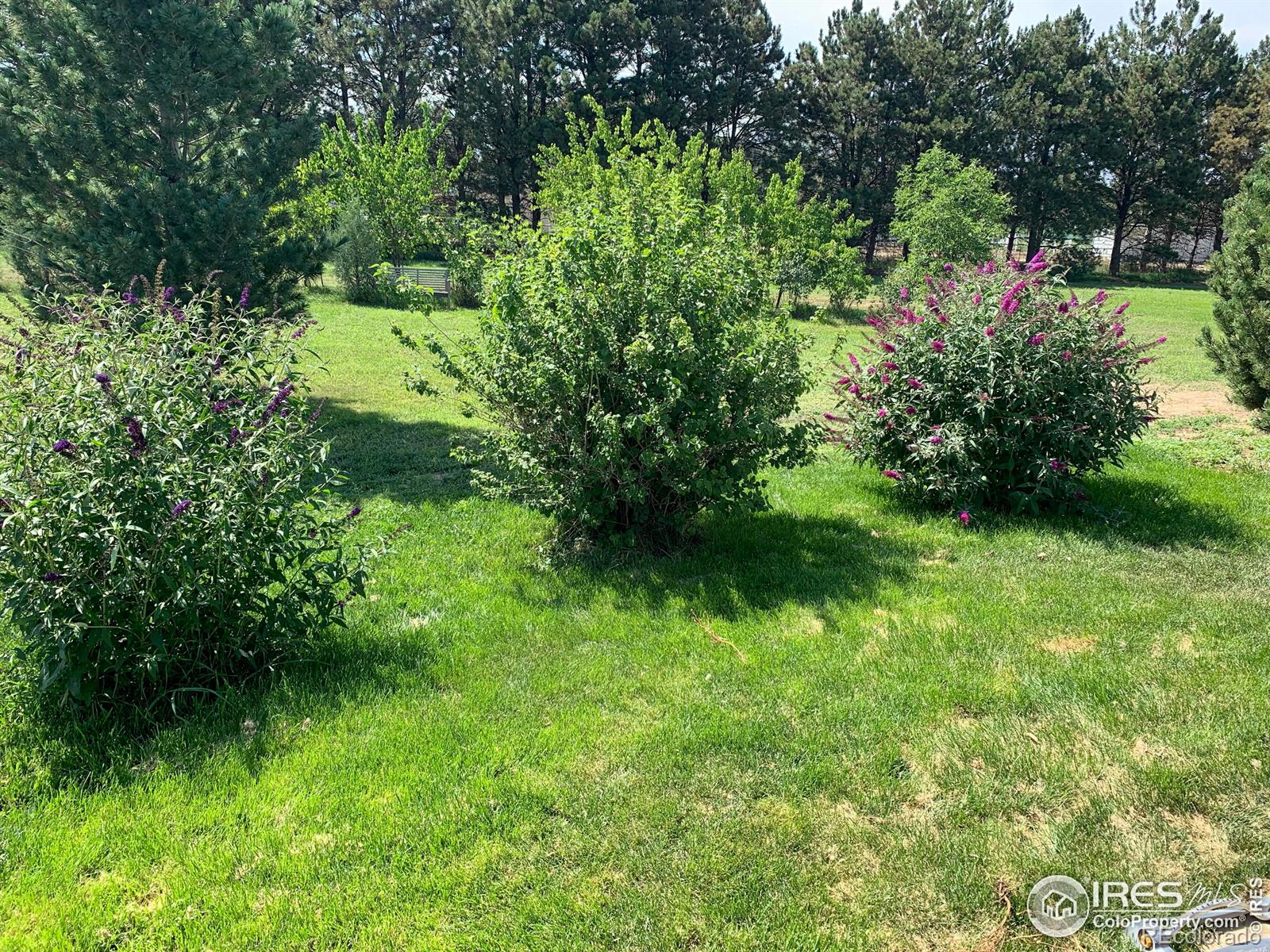 MLS Image #21 for 20771  county road 3 ,berthoud, Colorado