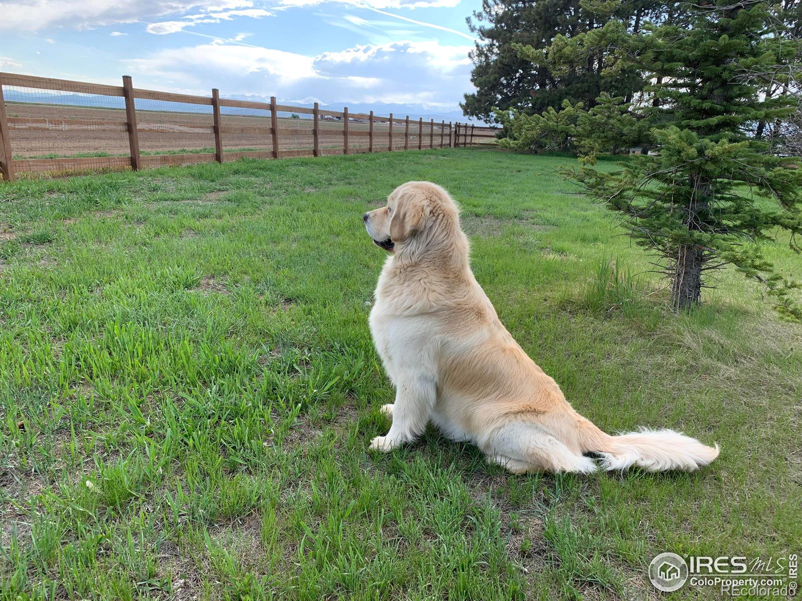 MLS Image #23 for 20771  county road 3 ,berthoud, Colorado