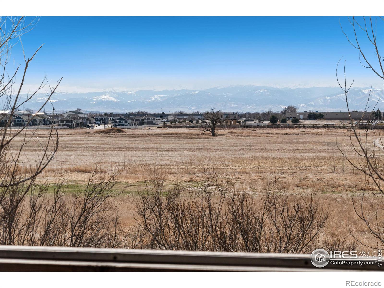 CMA Image for 9885  County Road 11 ,Longmont, Colorado