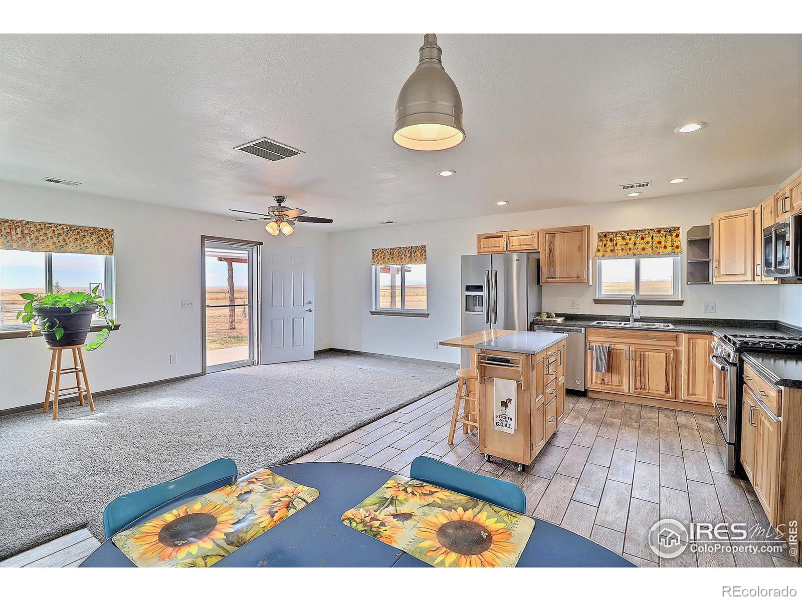 MLS Image #4 for 52413  county road 27 ,carr, Colorado