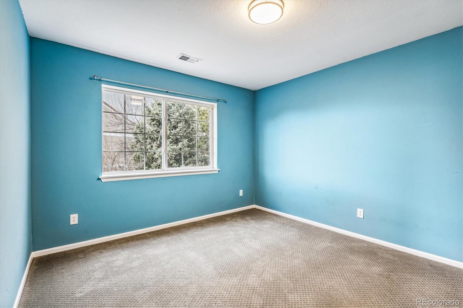 MLS Image #19 for 21283 e 50th place,denver, Colorado