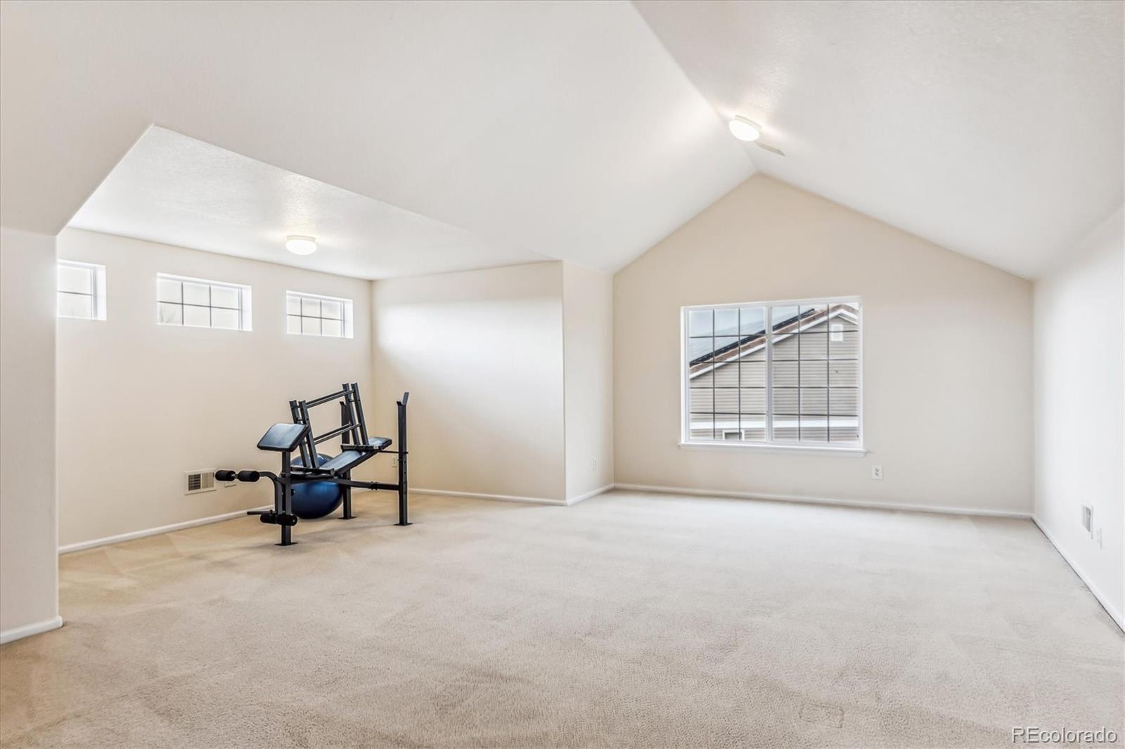 MLS Image #26 for 21283 e 50th place,denver, Colorado