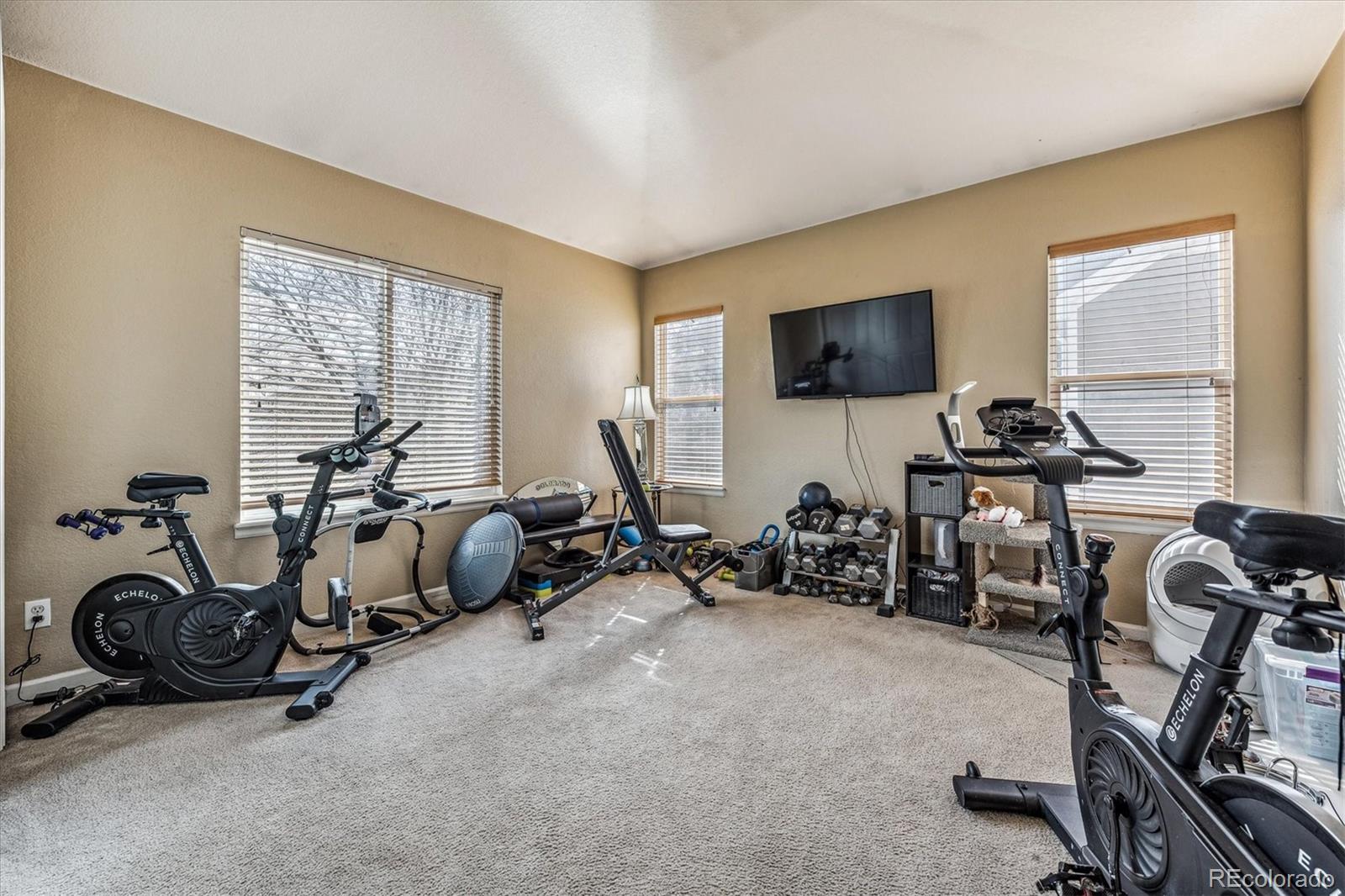 MLS Image #26 for 20517 e caley place,centennial, Colorado