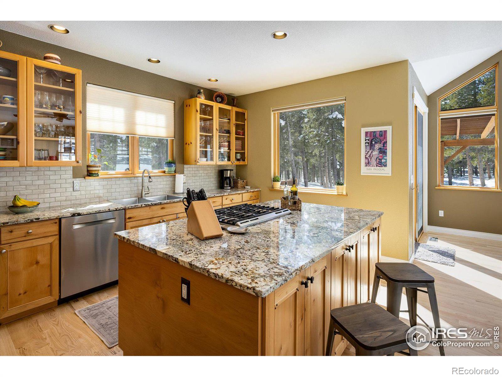 MLS Image #10 for 275  indian peaks drive,nederland, Colorado