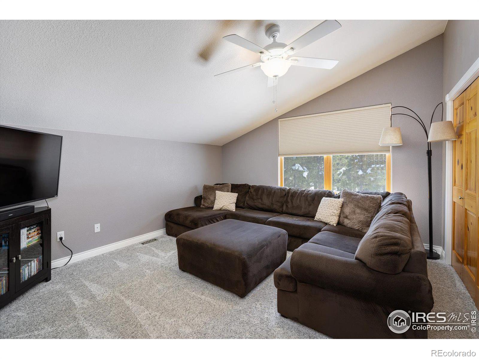 MLS Image #18 for 275  indian peaks drive,nederland, Colorado