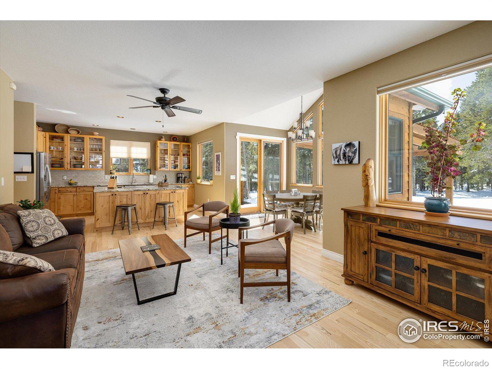 MLS Image #9 for 275  indian peaks drive,nederland, Colorado