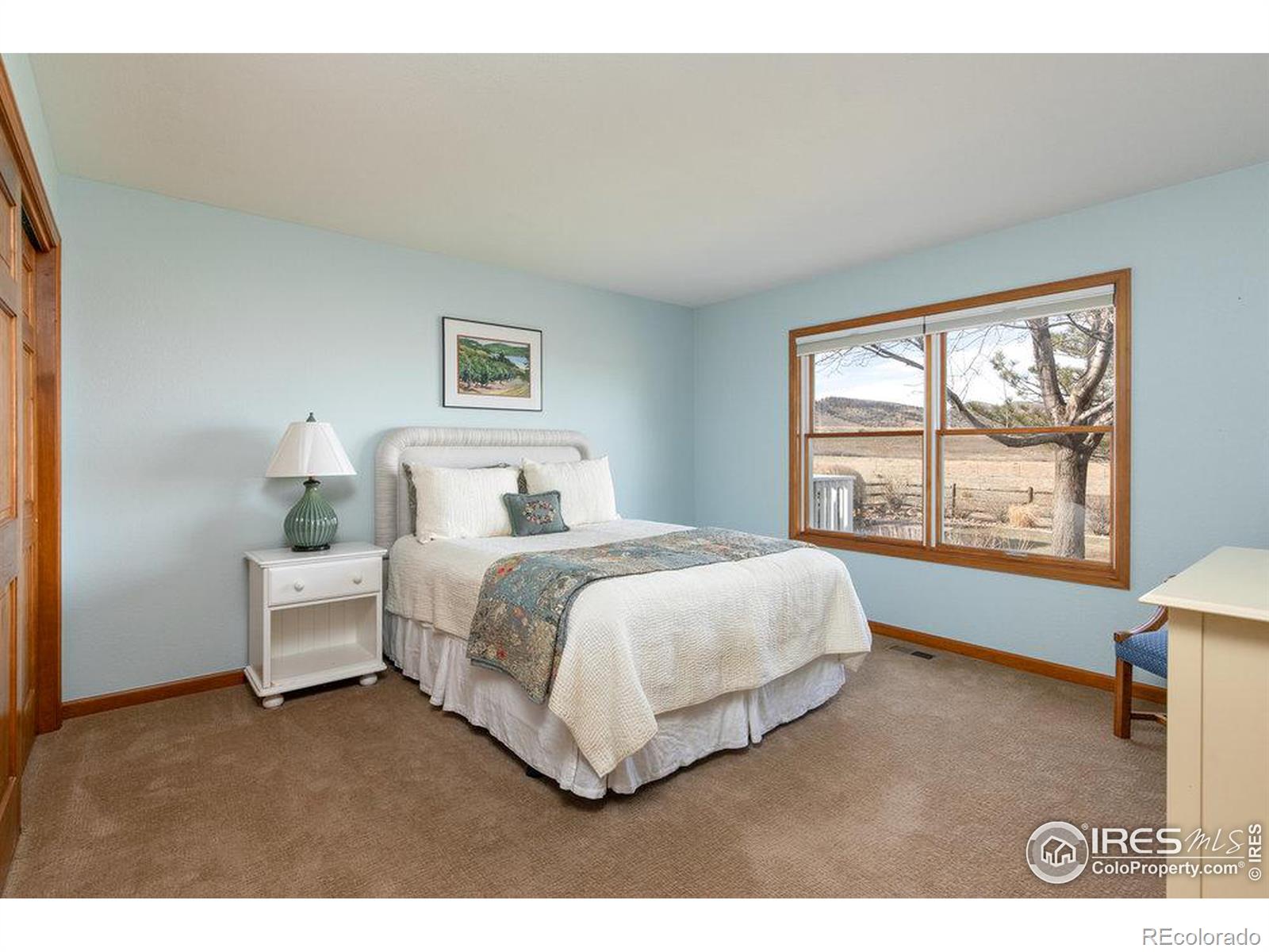 MLS Image #32 for 8923  sage valley road,longmont, Colorado