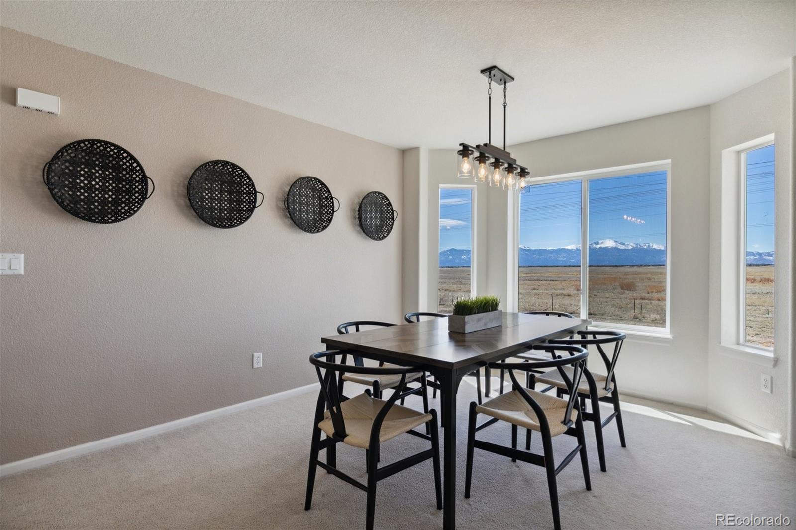 MLS Image #10 for 10805  hidden ridge circle,peyton, Colorado