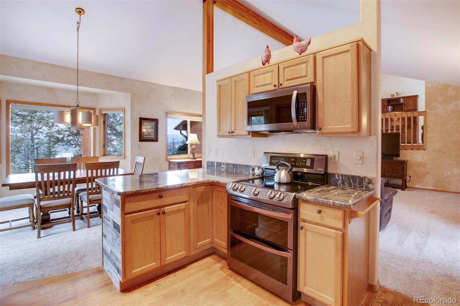 MLS Image #15 for 719  fox hill court,woodland park, Colorado