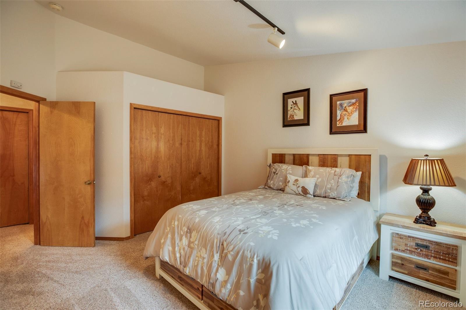 MLS Image #22 for 719  fox hill court,woodland park, Colorado