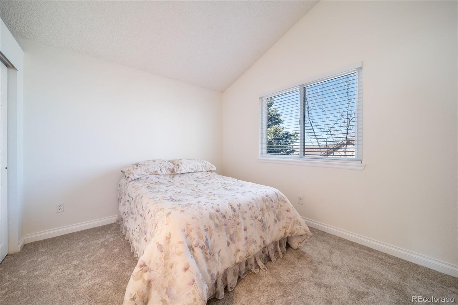 MLS Image #35 for 4337 w deertrail court,castle rock, Colorado